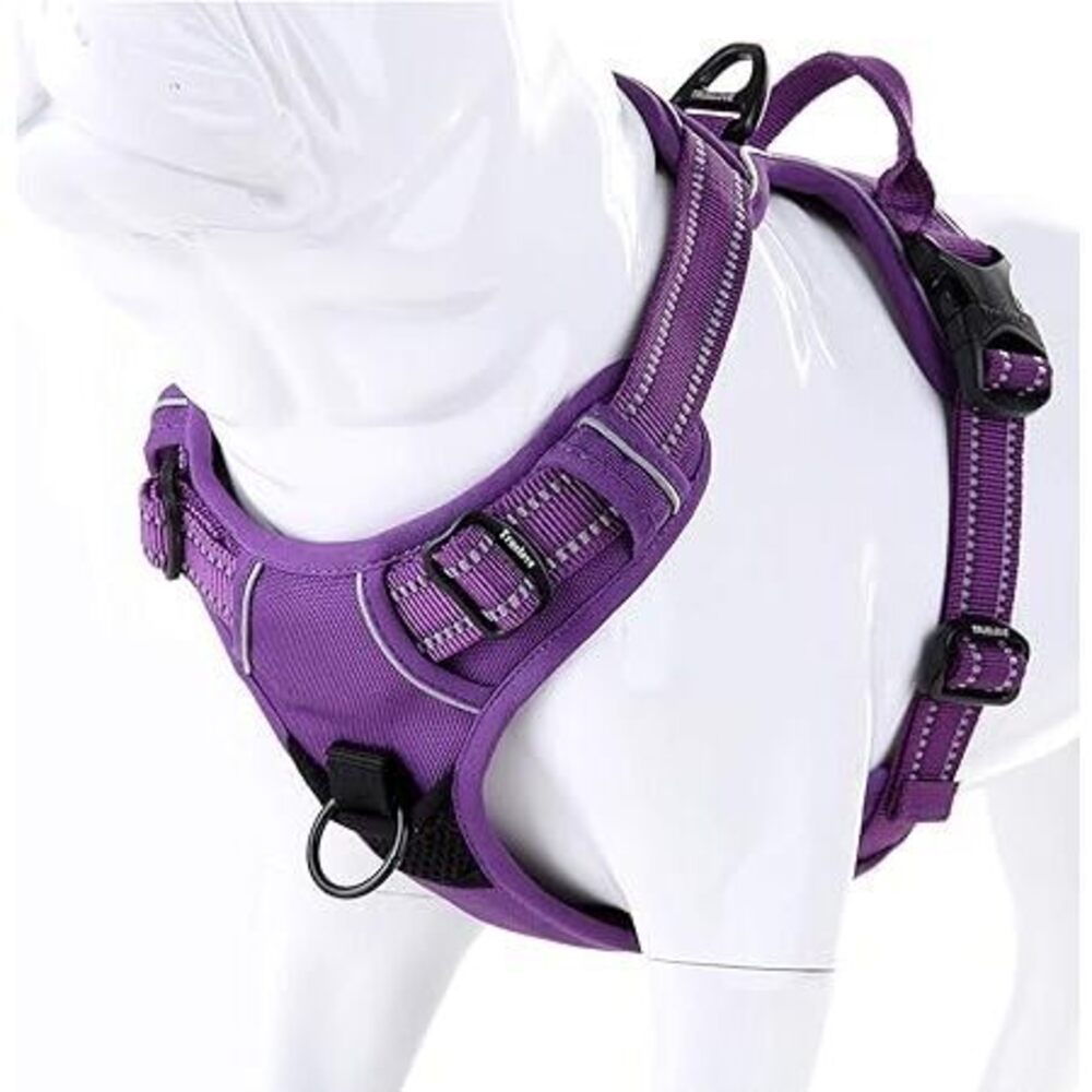 Truelove No Pull Dog Harness With Easy Control Handle And 2 Leash